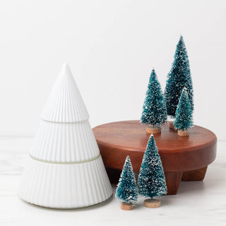 White Tree - Limited Edition Decorative Tree Jar